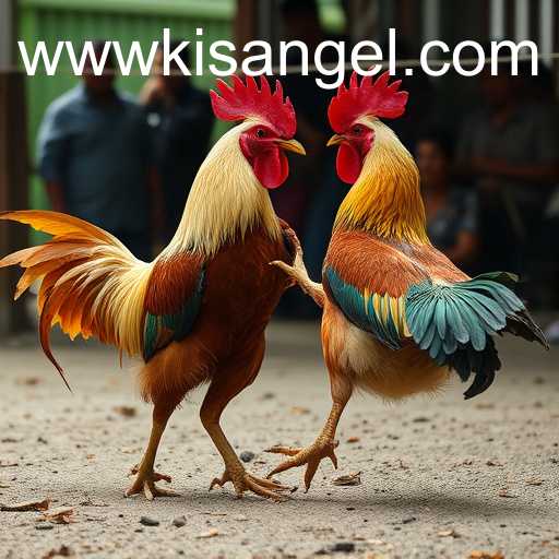 Exploring the Fascination of Online Sabong and its Digital Transformation